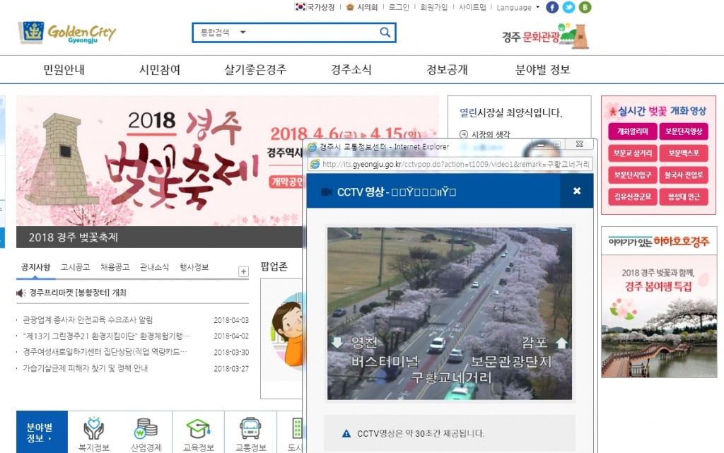 1. 경주시, 벚꽃 개화 실시간 정보서비스 제공(실시간 벚꽃 개화 영상)