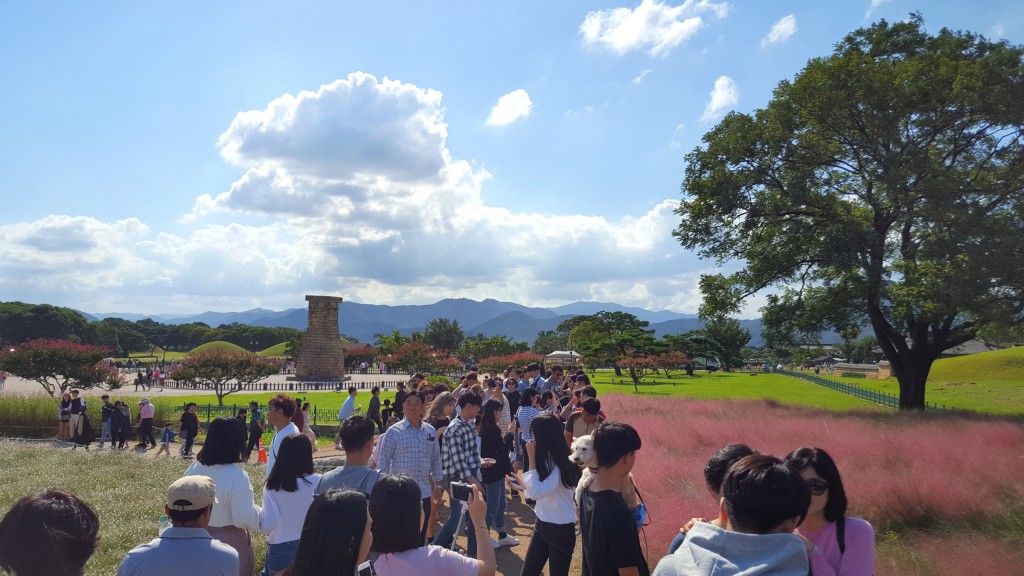 1. 천년고도 경주 추석 연휴 맞아 나들이객 북적(첨성대 동부사적지 꽃 단지 일원) (2)