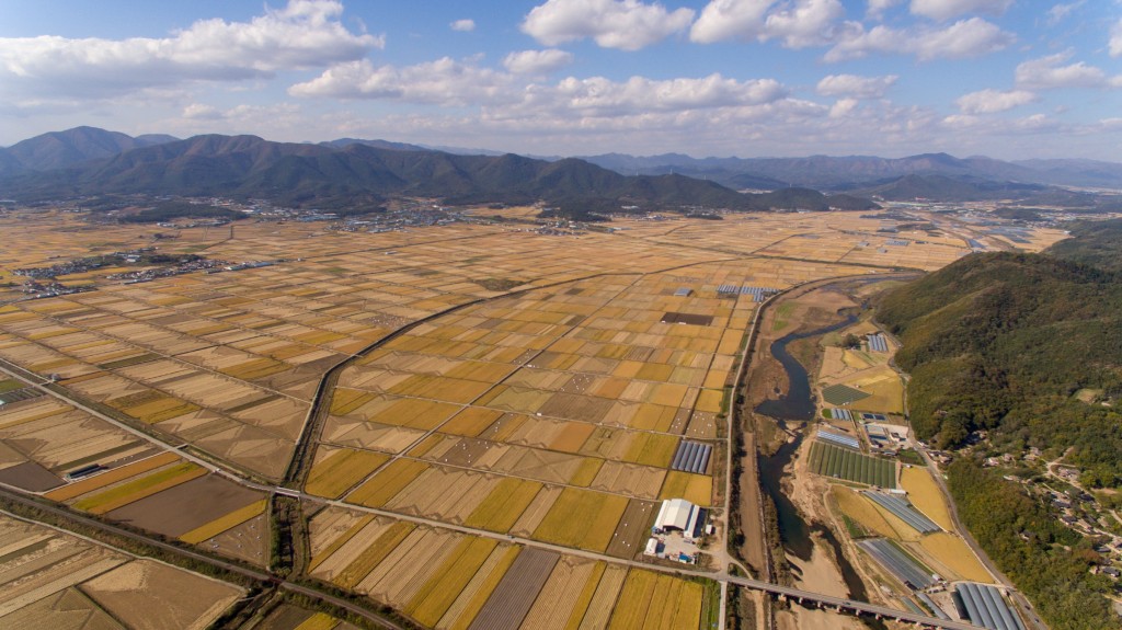 2. 경주시 식량산업 5개년 종합계획 수립 추진(사진은 안강읍 들녁 전경) (2)