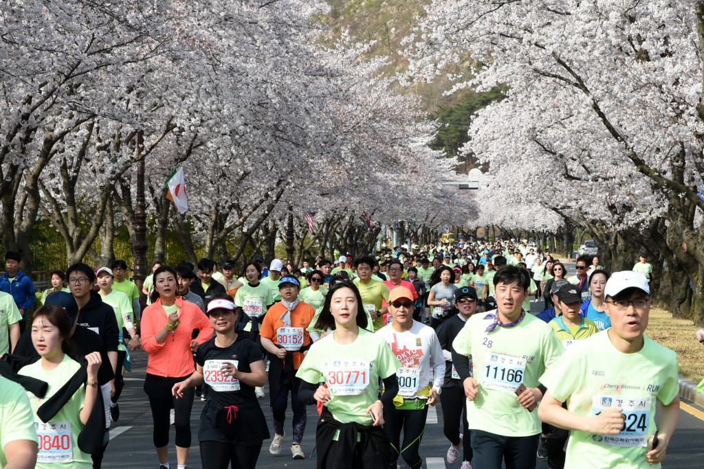 1. 벚꽃마라톤 (6)