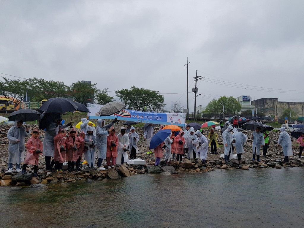 경주시, 산내면 청정수역에 어린 다슬기 30만 마리 방류 (1)