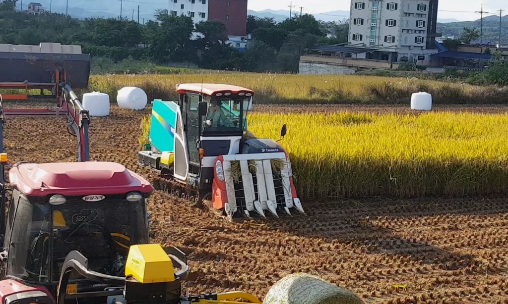 2. 경주시, 논에 벼 이외 다른 작물 재배시 기본지원금 외  ha당 100만원 추가 지원 확정