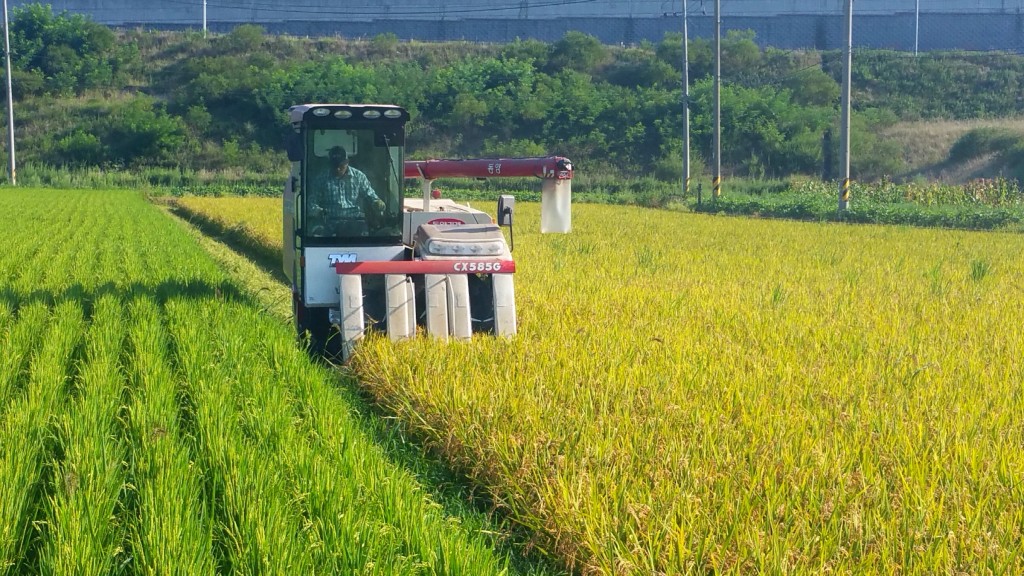 2. 경주시는 벼 품목 농작물재해보험을 6월 28일까지 지역농협을 통해 신청받는다고 밝혔다.