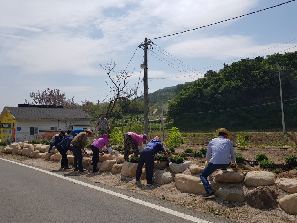 6. 양북면 장항리청년회, 아름다운 양북만들기 적극 동참 (2)