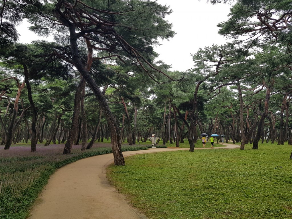 5. 경주시, 추석맞이 황성공원 풀베기사업 실시