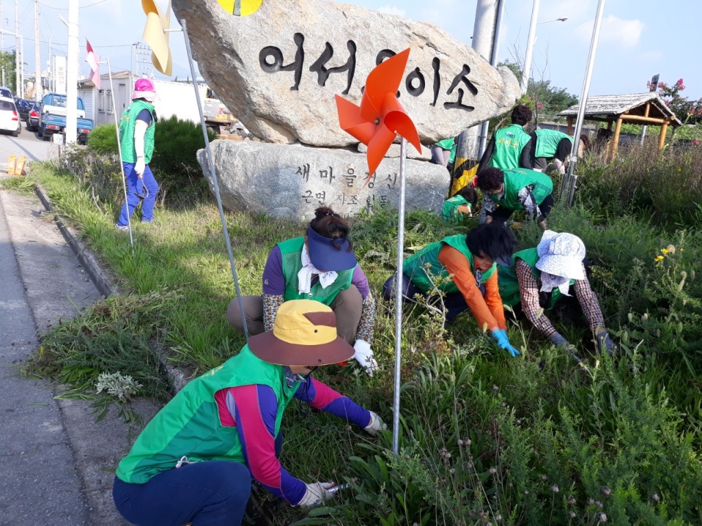 10. 안강읍 새마을 남·여협의회 새마을동산 풀베기 (1)