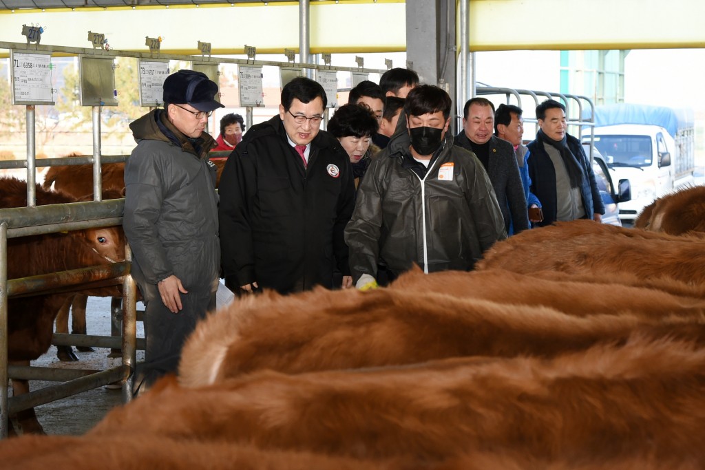 1. 주낙영 경주시장, 신년 가축시장 찾아 현장밀착행정 (4)