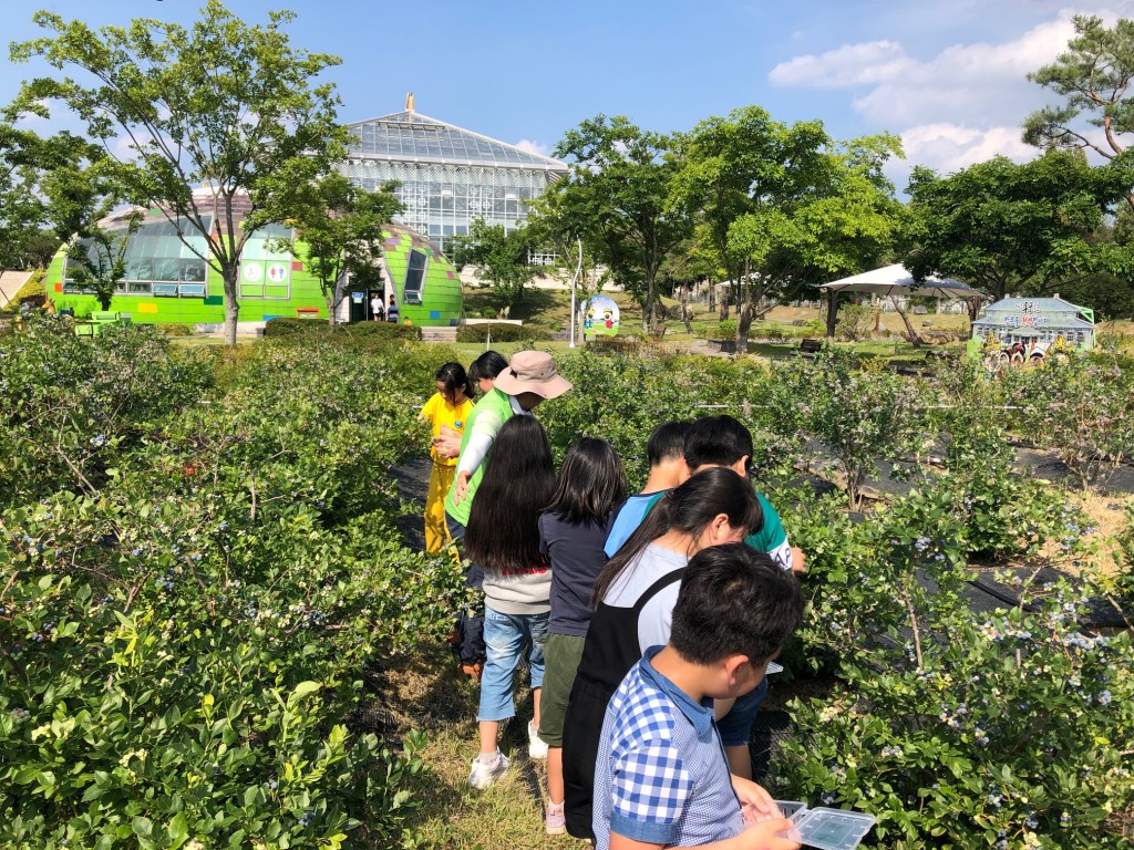 3. 경주 동궁원, 블루베리 열매따기 체험 (1)