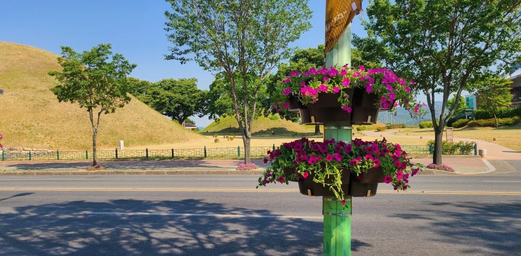 4. 경주시, 가로등 걸이화분 설치로 화사한 도로경관 연출 (1)