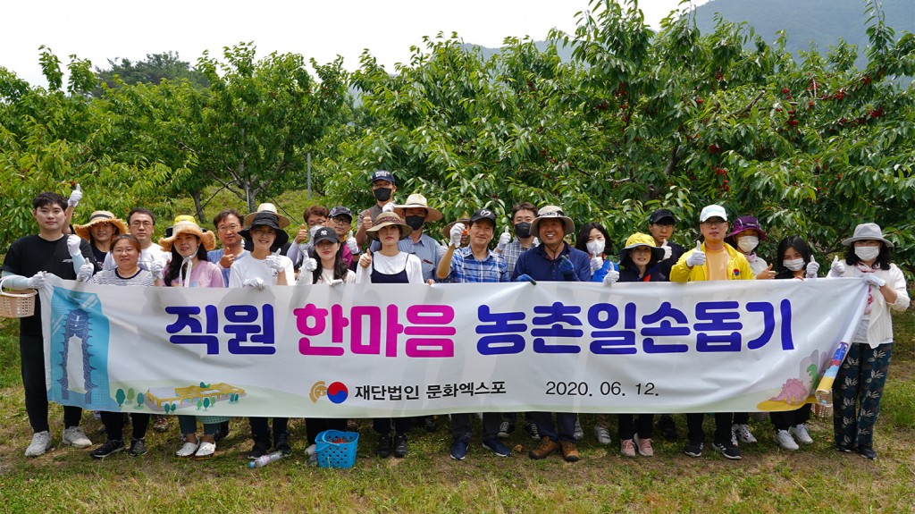 경주엑스포는 12일 지역 체리농가를 방문해 농촌일손돕기 봉사활동을 진행했다.