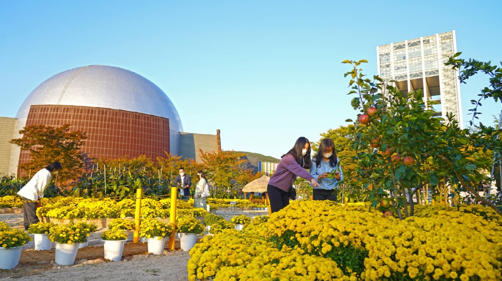 경주엑스포공원을 찾은 관광객들이 '행복한 텃밭정원'을 관람하고 있다.