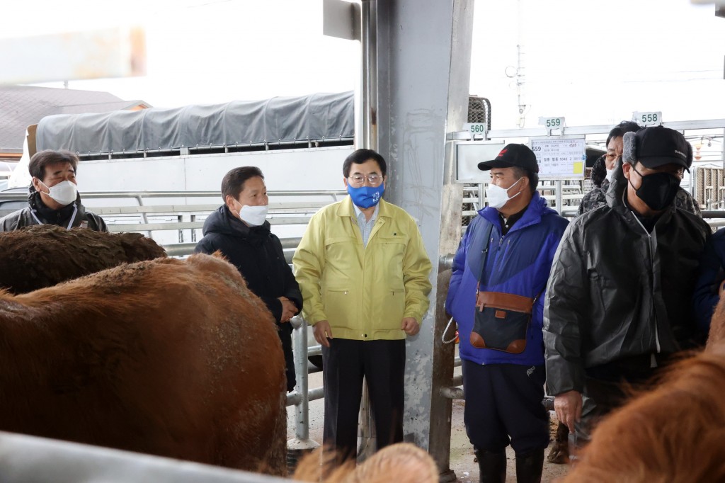 “축산농가 힘내세요”…주낙영 경주시장 신년맞이 가축시장 방문 (3)