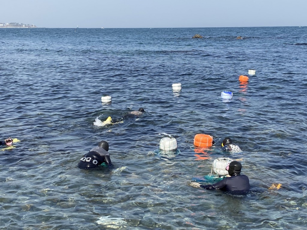 3. 경주시, 청정 동해에 어린 전복 방류해