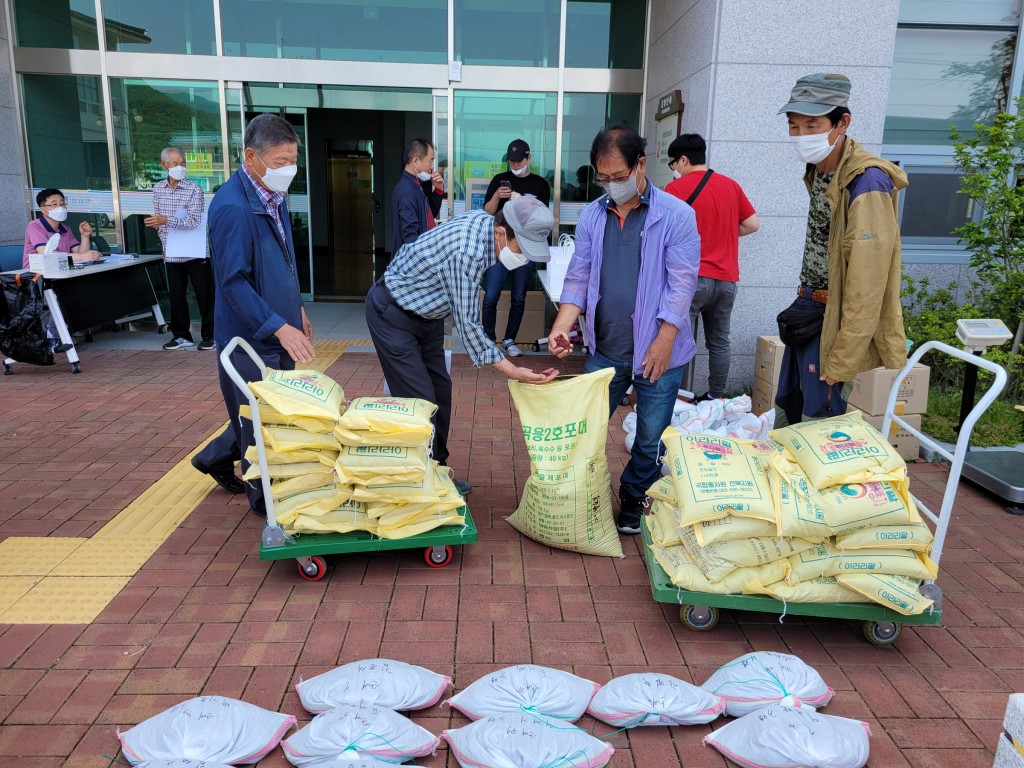 경주시, 고품질 경주팥 생산단지 조성으로 농가소득 기대 (2)