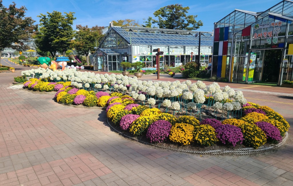 3. 경주시 동궁원, 국화꽃 축제 개최