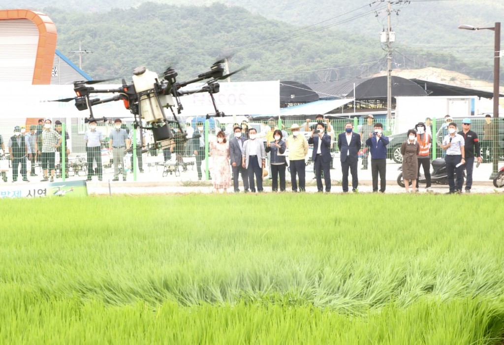 4-1. 경주시 벼농사… 공동방제로 병해충을 한번에 싹!