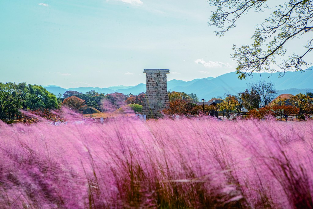 공사에서 가을23선에 선정한 경주역사유적지구(첨성대)