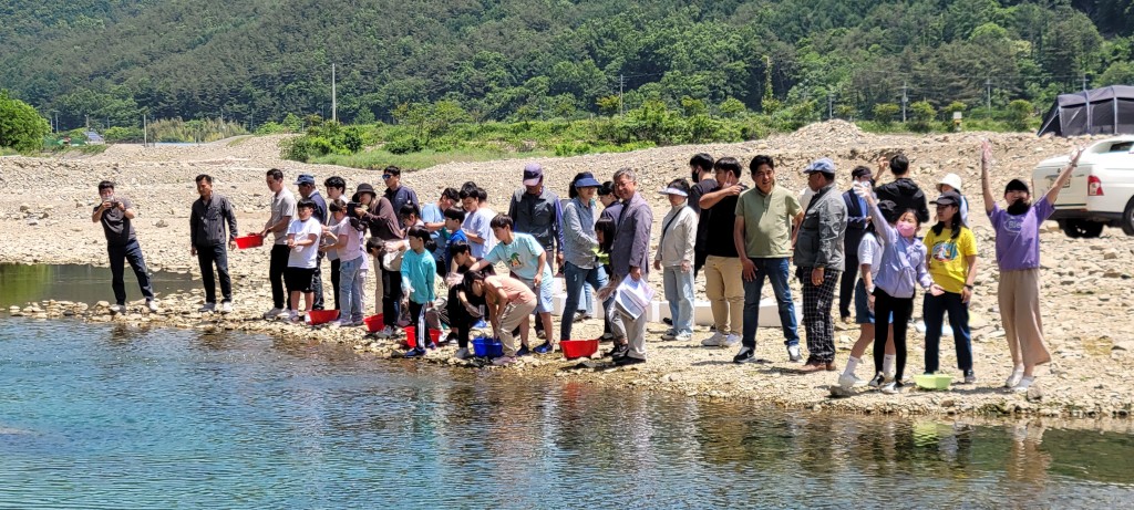 5-2. 25일 산내면 의곡 동창천에서 다슬기 34만 마리를 방류하고 있다