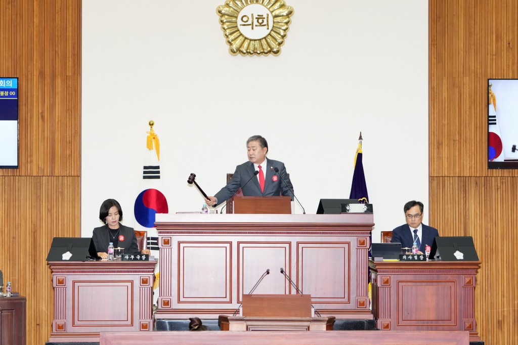사진(1)