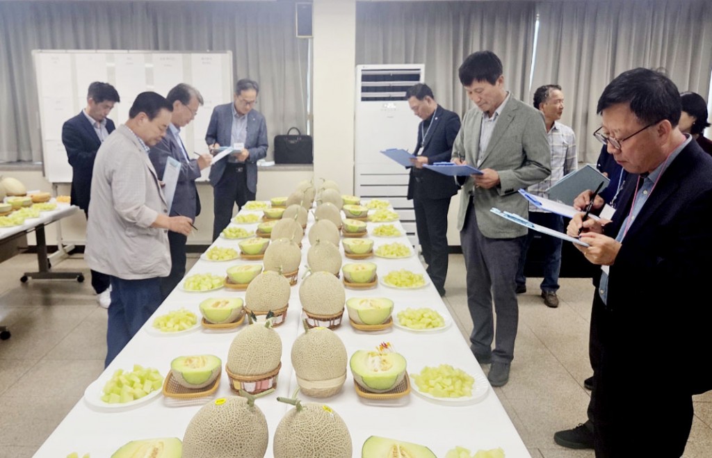 경주시멜론